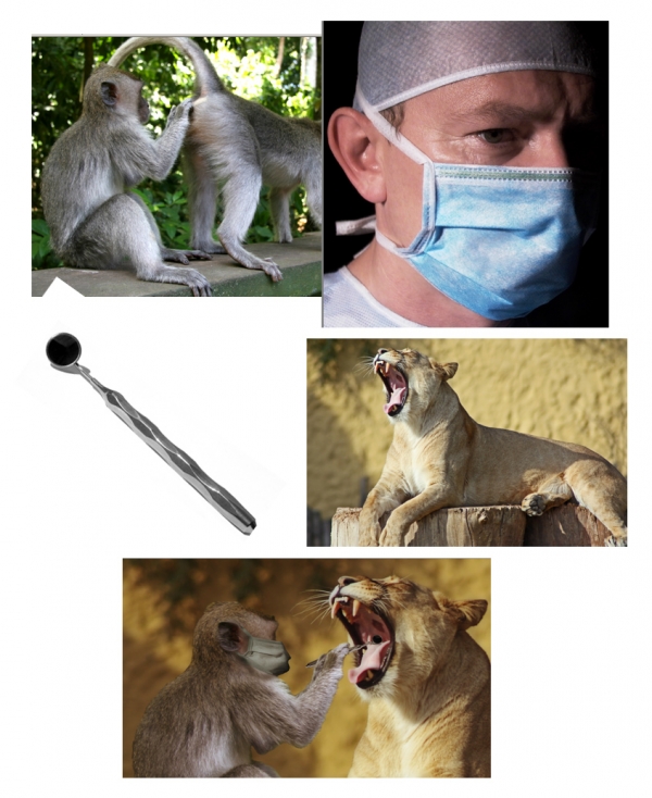 Creation of Dentist Monkey: Step 1